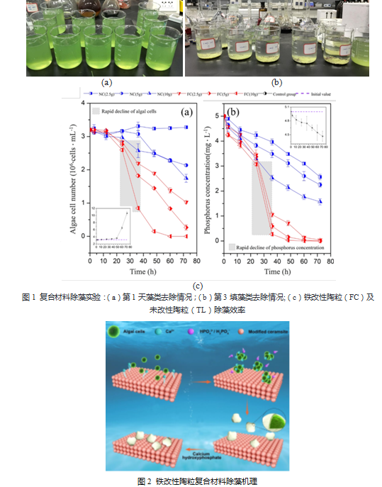 1626062532551726.png image.png